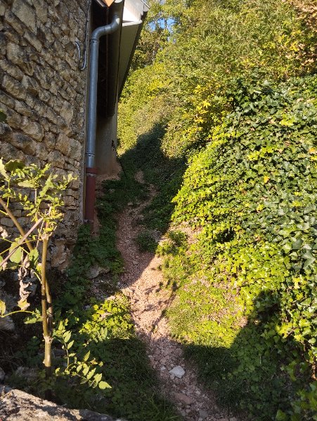 Chemin d'accès au Trou-qui-Fume_St-Romain
Le trou qui fume de Saint-Romain se trouve à quelques mètres seulement des habitations : ne pas le chercher plus haut dans les falaises ! Il n'est pas facile à repérer.
Il faut remonter la Grand-Rue en direction de Saint-romain-le-haut, et emprunter le sentier de randonnée sur la droite. Après un petit mur barrant le passage aux mobylettes, avancer quelques mètres. C'est tout de suite à droite. Il faut enjamber la végétation jusqu'à une petite falaise à l'intérieur de laquelle on trouve le trou.
Fichier manquant